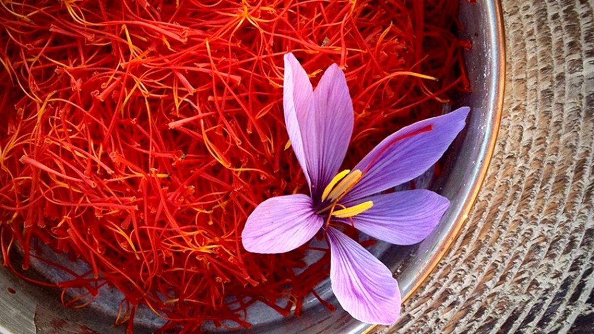 سرمایه گذاری با خط تولید زعفران