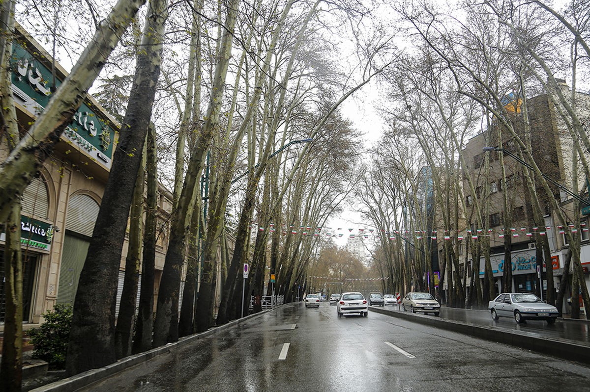 نمایی از خیابان ولیعصر تهران