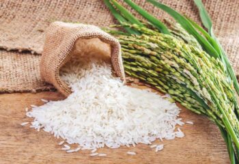 عکس دانه های برنج