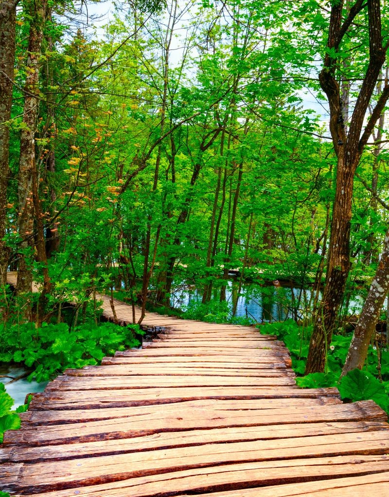 عکس راه چوبی النگدره