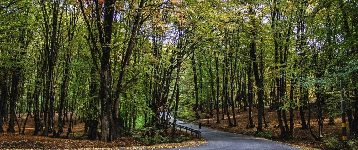 عکس پارک جنگلی النگدره