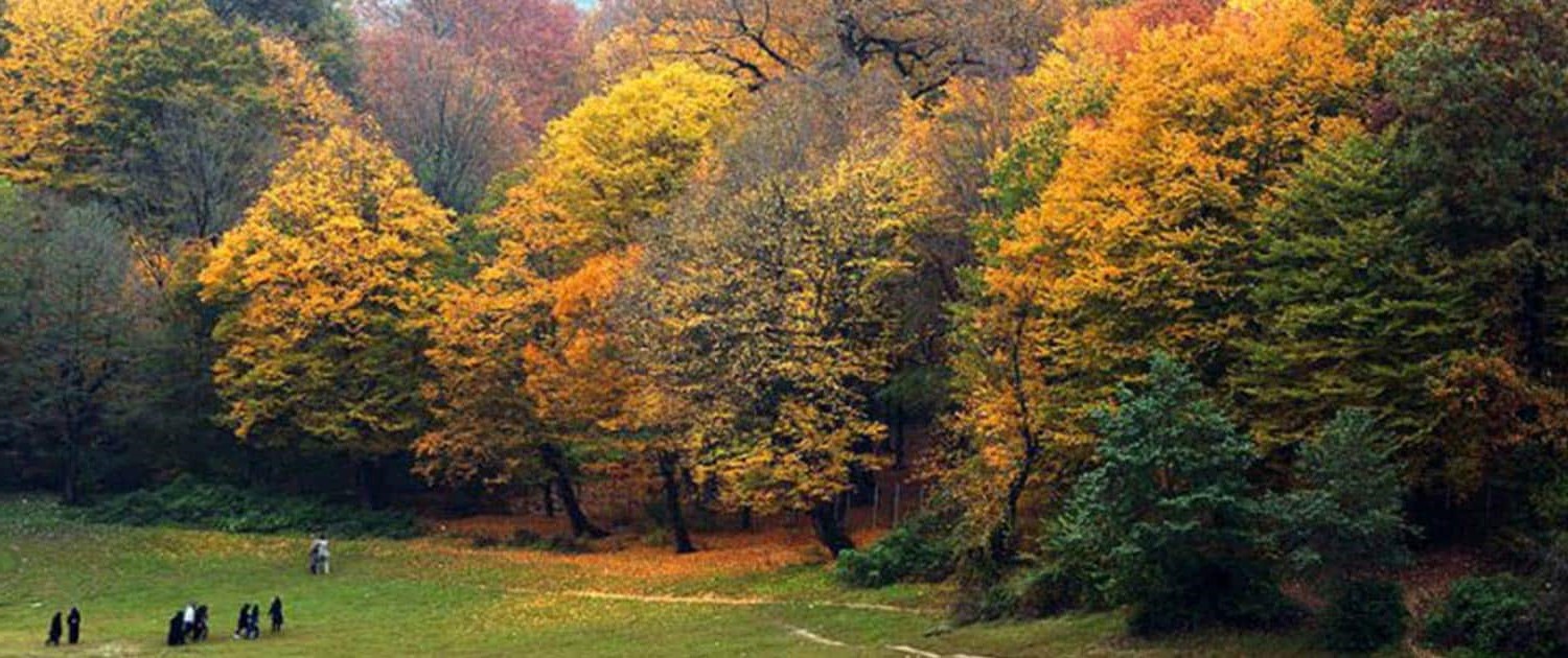 عکس پوشش گیاهی النگدره