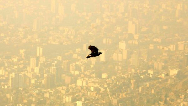 عکس میزان آلودگی شهر تهران