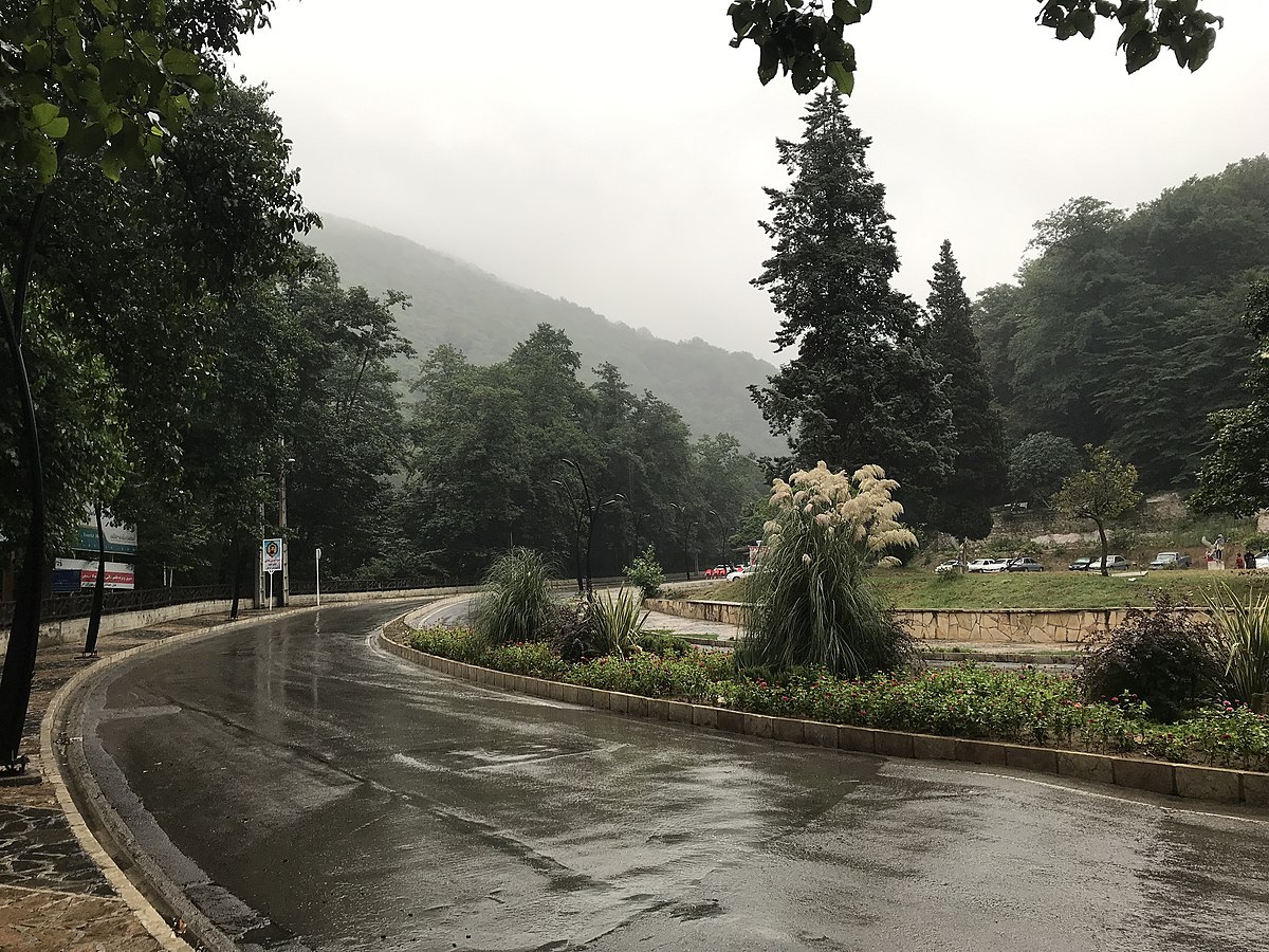 عکس جنگل ناهار خوران در یک روز بارانی