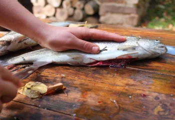 روش های پاک کردن ماهی