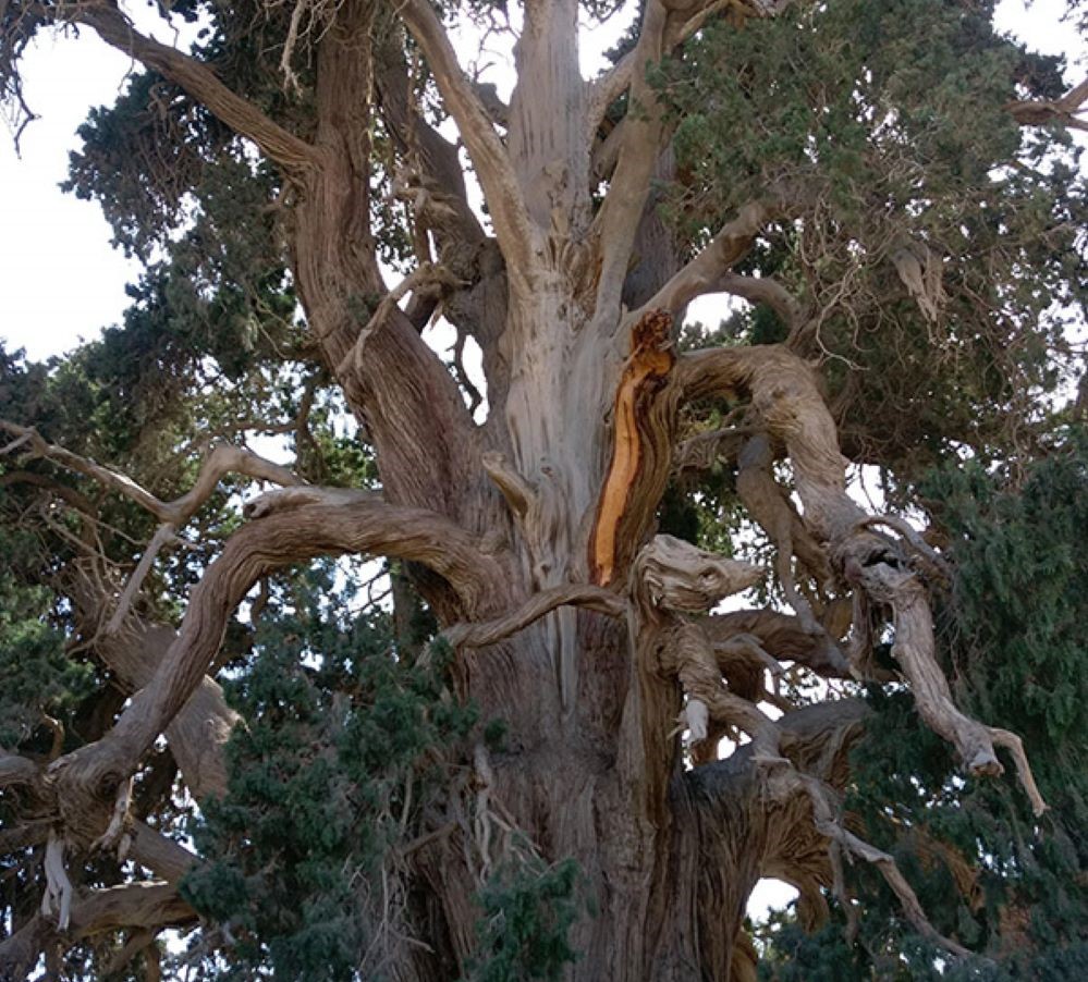 آدرس روستای سنگان