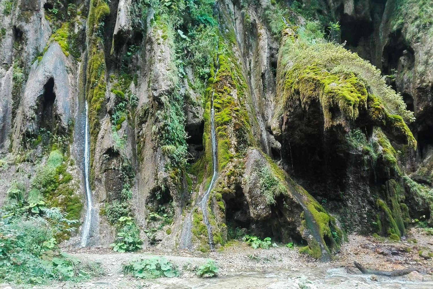 عکس صخره خزه ای در آبشار باران کوه