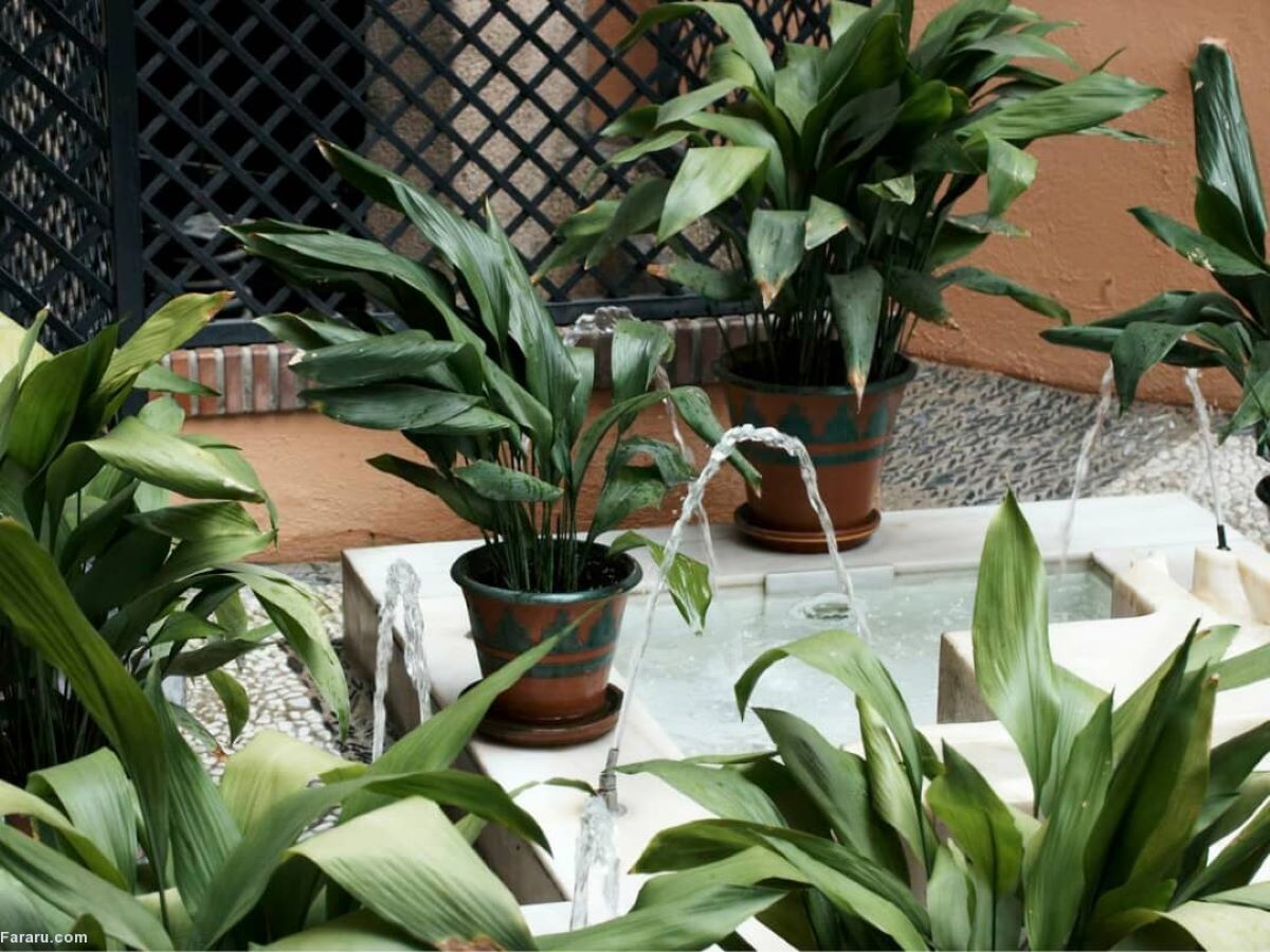 آبیاری