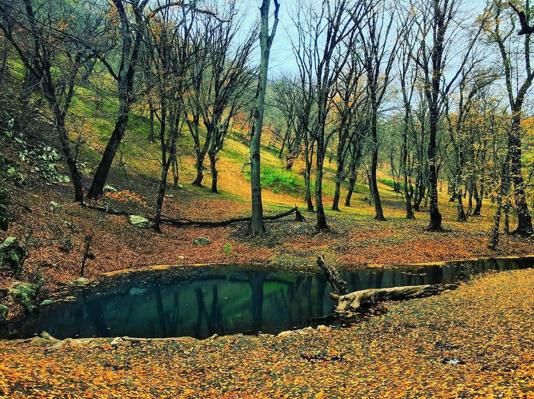 ورودی از شهرستان گالیکش