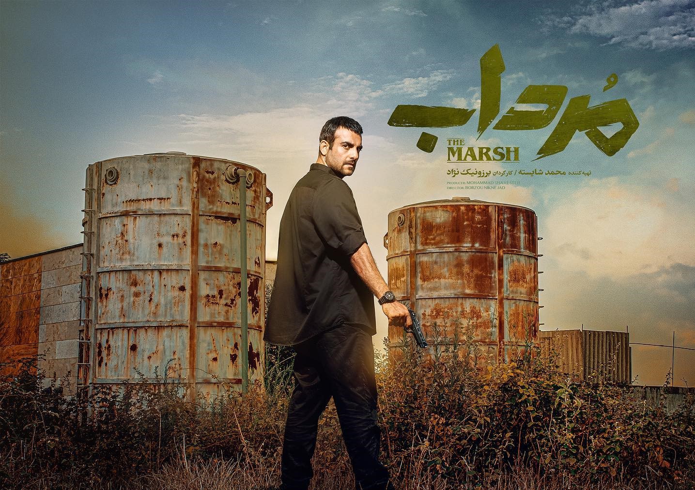 حامد کمیلی در سریال مرداب