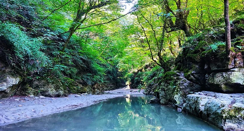 مسیر رودخانه تنگ دار آمازون