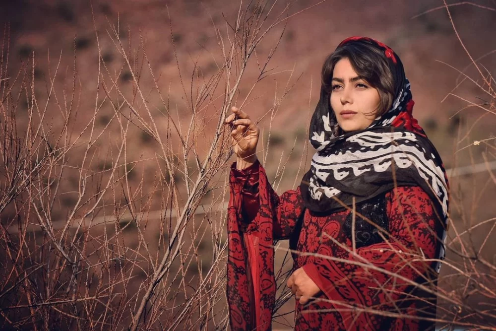 هدیه بازوند در سریال نون خ