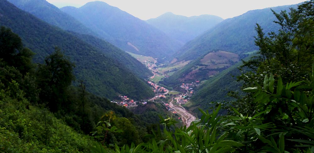 جنگل واز چمستان