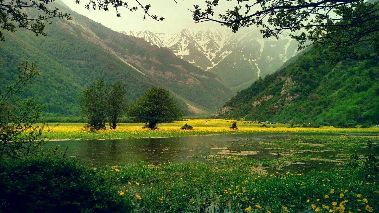 دشت دریاسر،