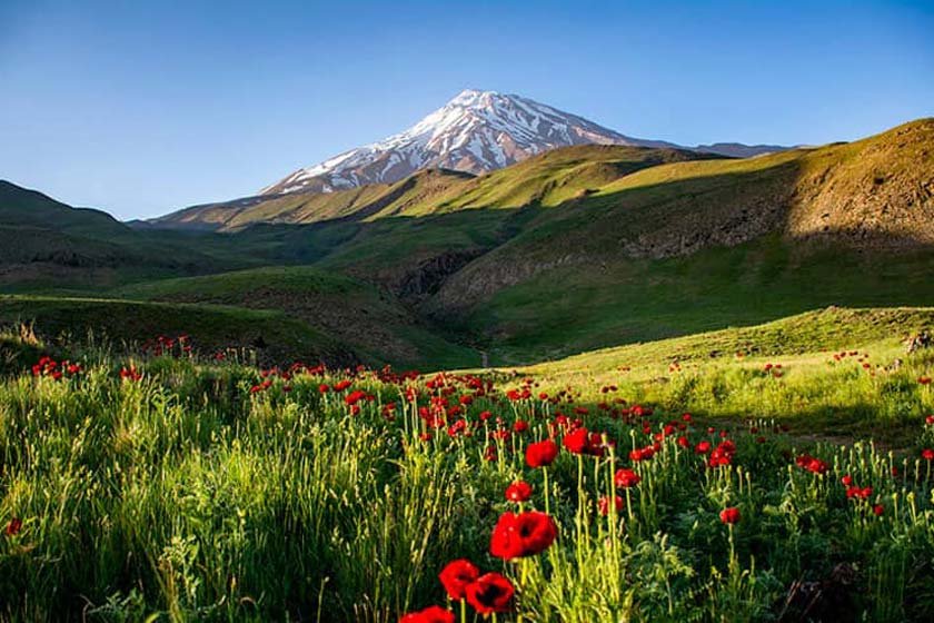 دشت لار کجاست