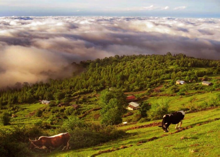 قلعه کنگلو