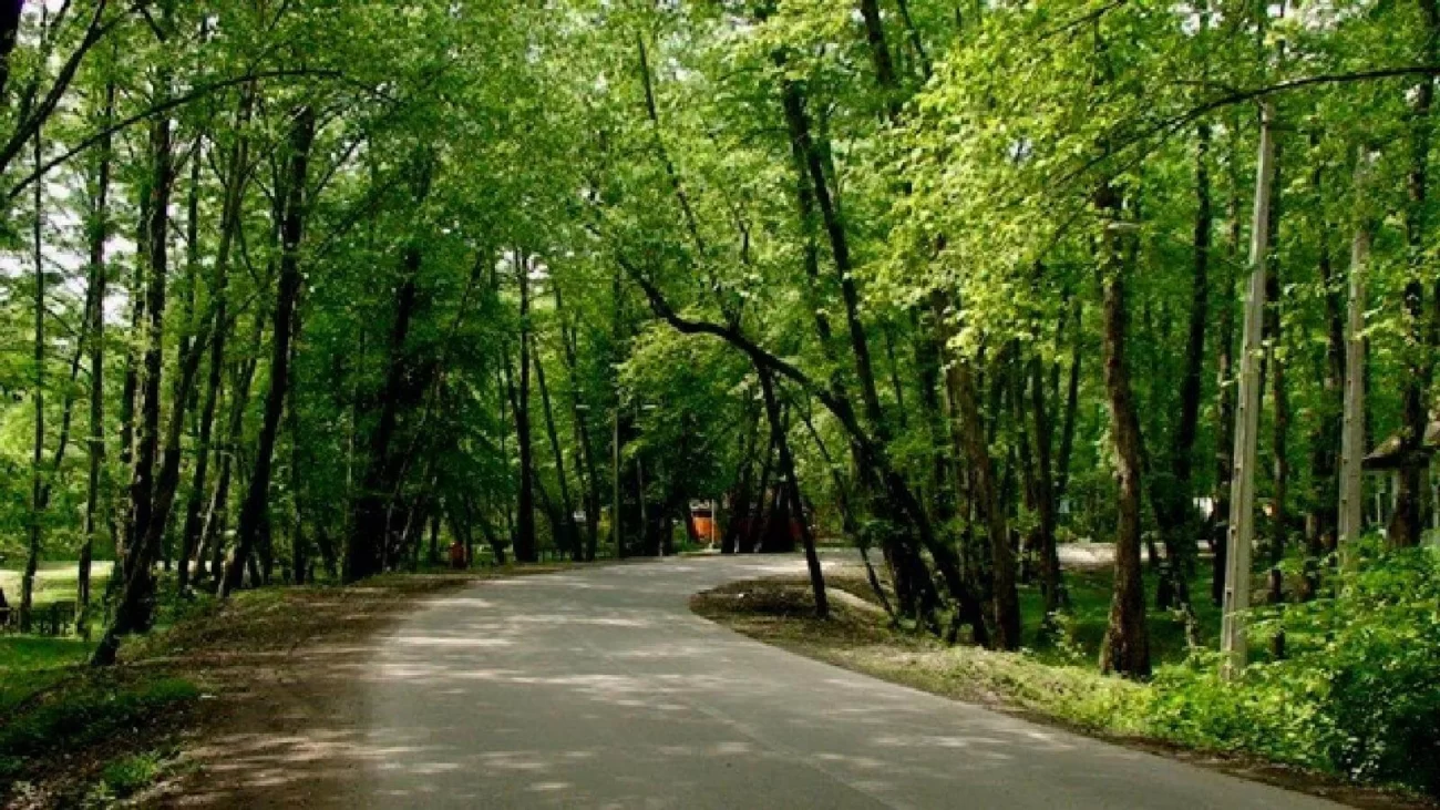 پارک جنگلی نور