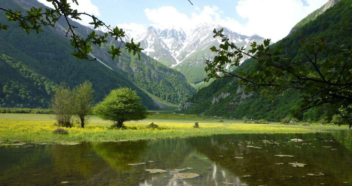 مرداب دریاسر