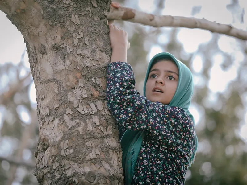 فصل اول سریال تنها گریه نکن