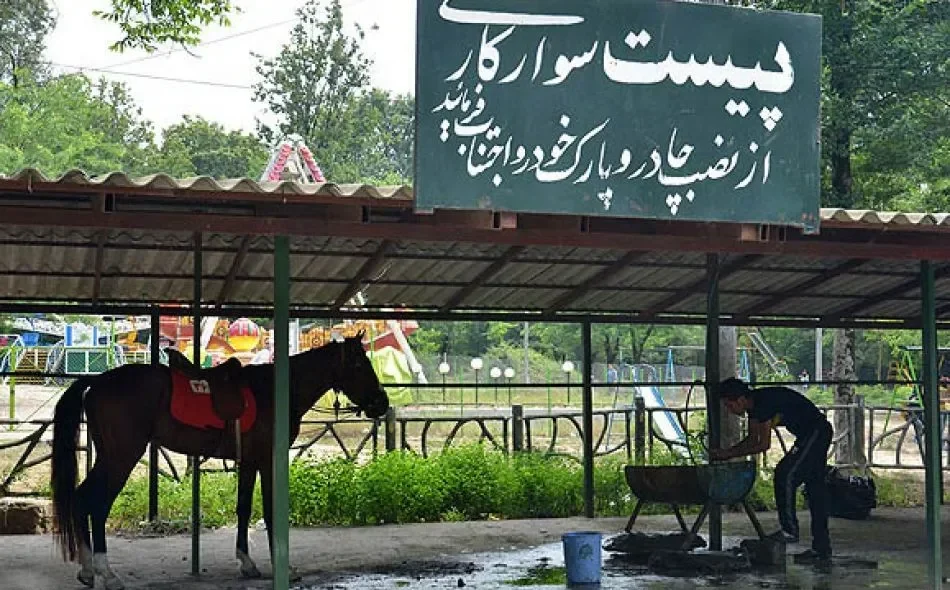 اسب دوانی پارک جنگلی سیسنگان