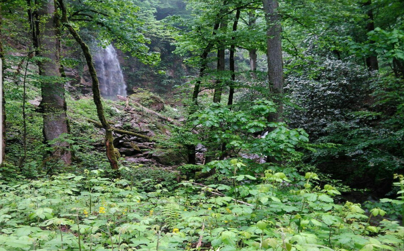 طبیعت آبشار کزو