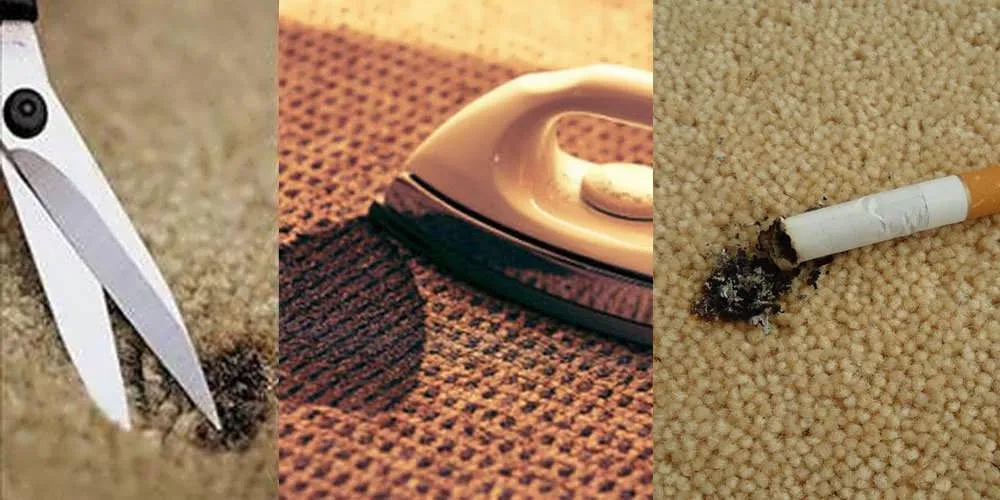 از بین بردن لکه زرد سوختگی روی فرش