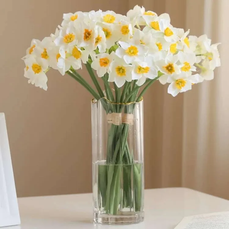 گل نرگس سفید کاغذی (Narcissus tazetta) 