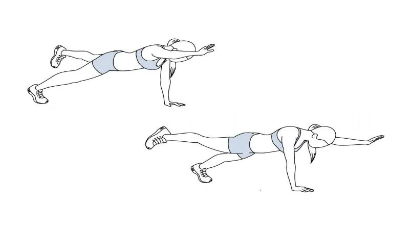 plank bird dog exercise illustra بهترین ورزش در خانه برای بانوان؛ تناسب اندام فقط با این 15 تمرین