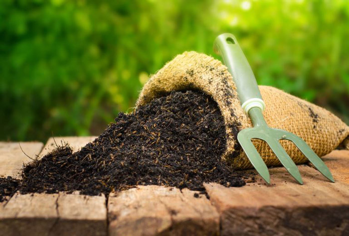 انواع کود و سموم برای باردهی درختان 