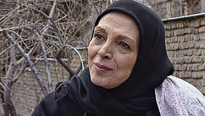 نیکو خردمند در سریال بازگشت به خانه