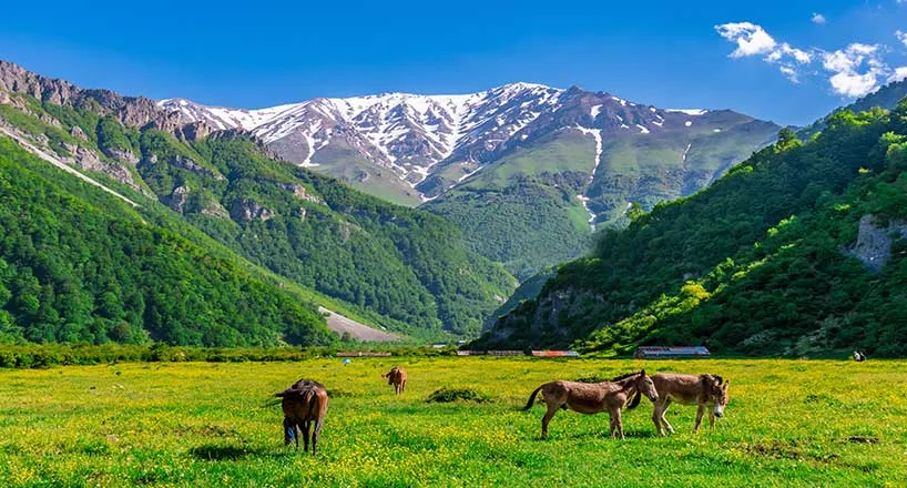 دشت دریاسر تنکابن