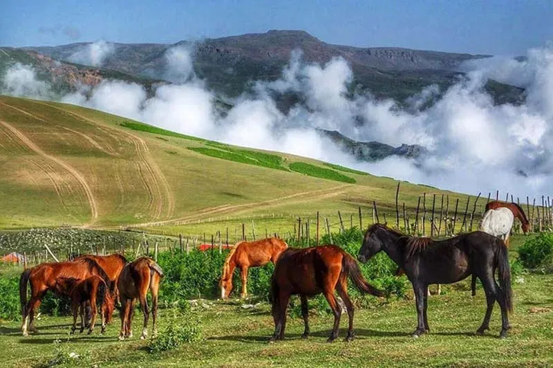 طبیعت تالش