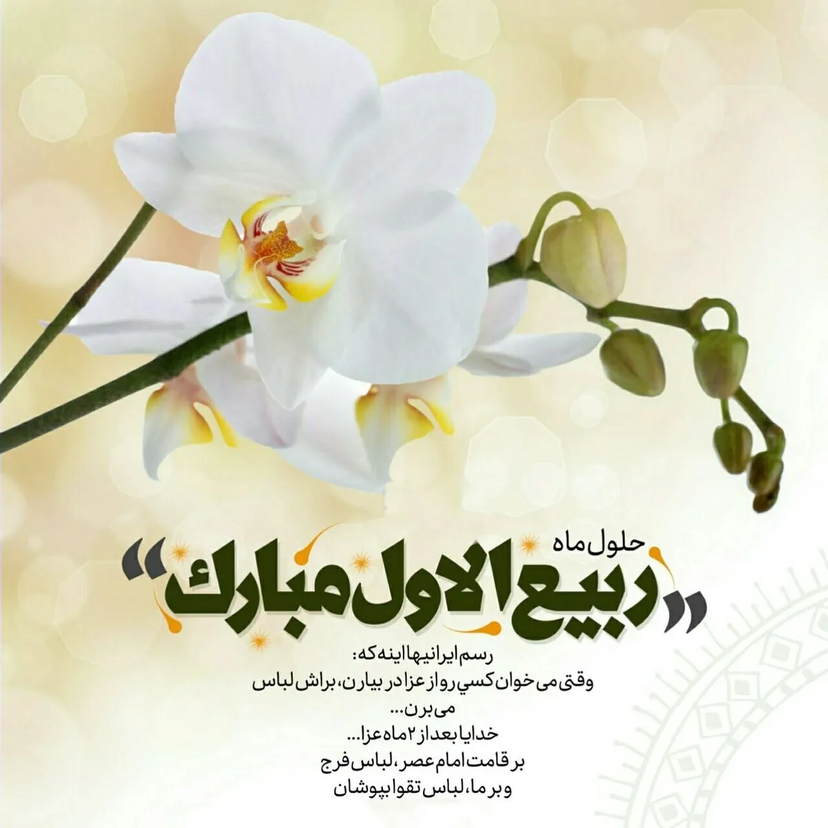 عکس تبریک حلول ماه ربیع الاول