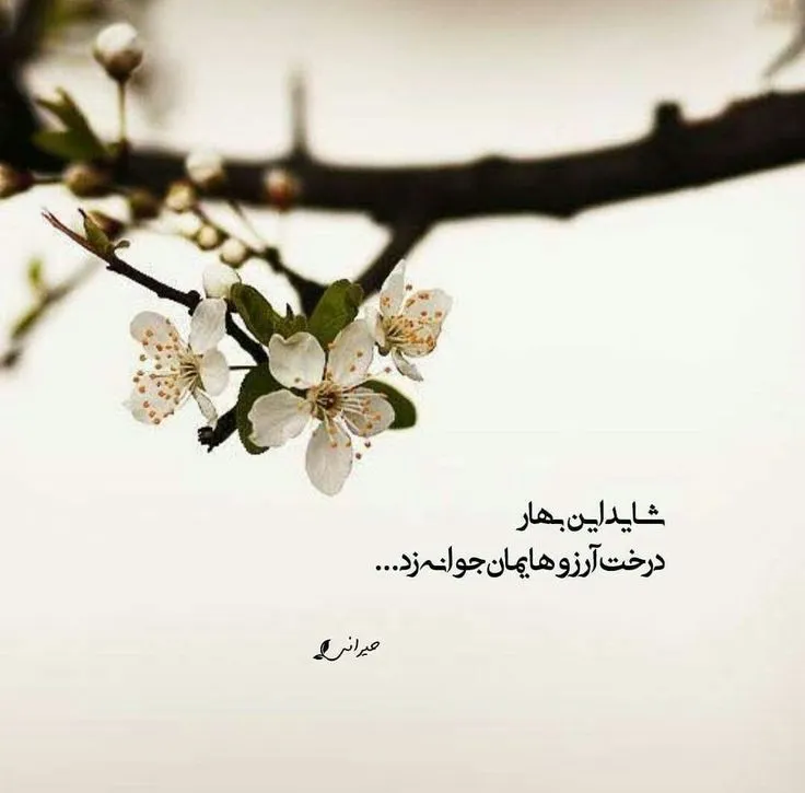 شعر عاشقانه عید نوروز