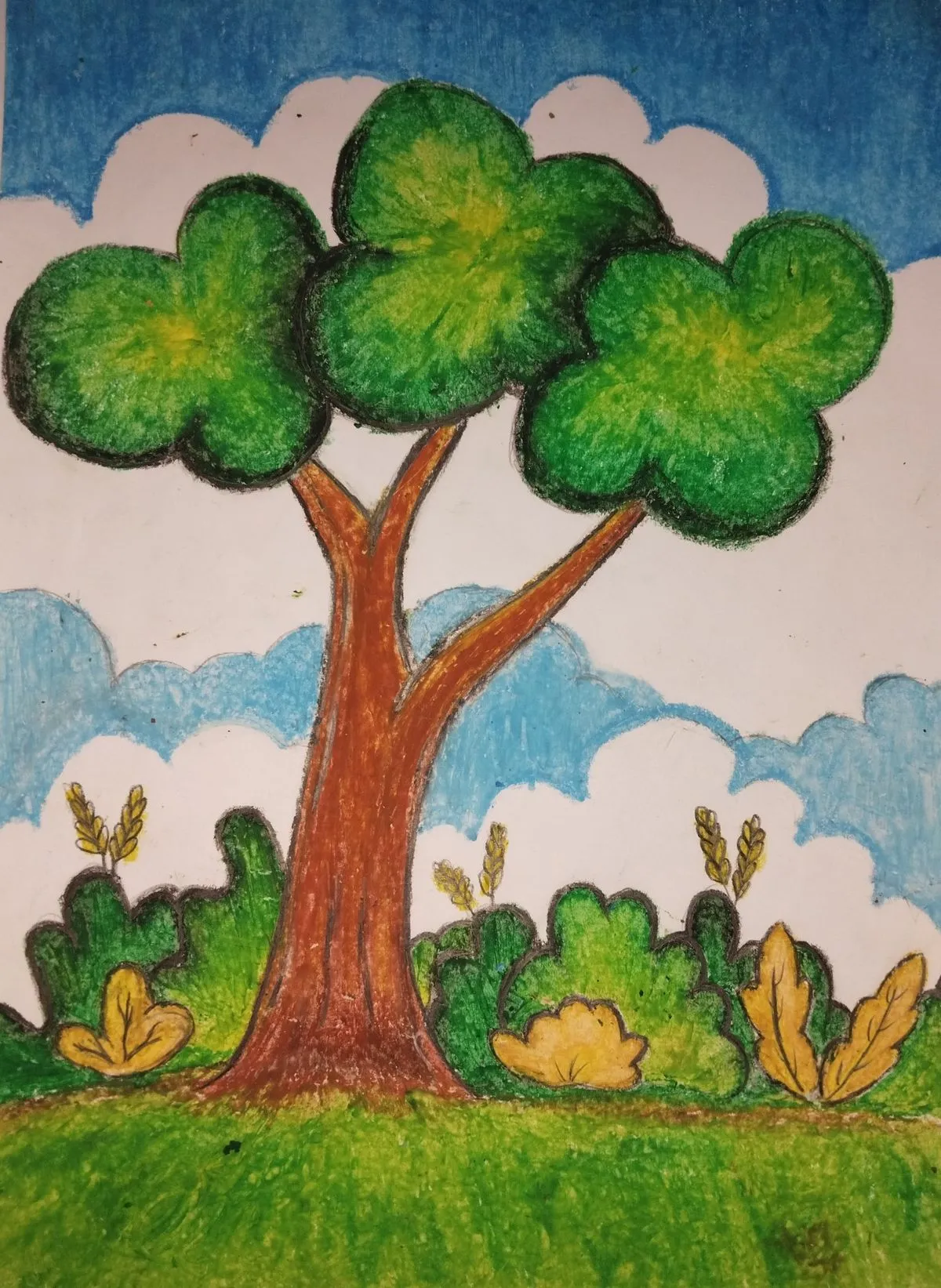 نقاشی درخت برای کودکان