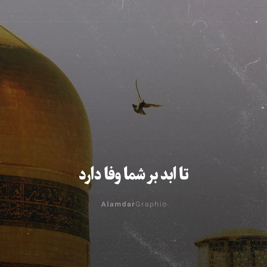  تصاویر ولادت امام رضا