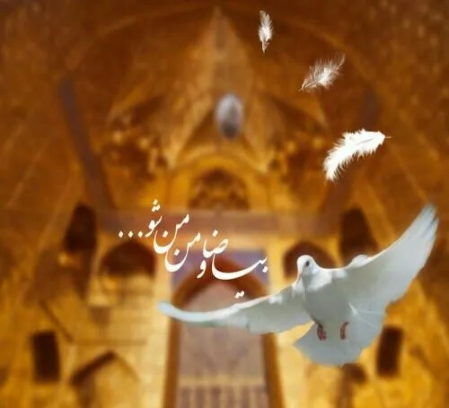  پروفایل ولادت امام رضا 