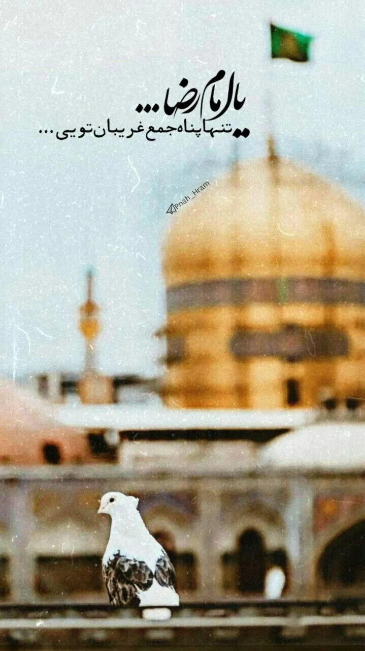 عکس پروفایل ولادت امام رضا
