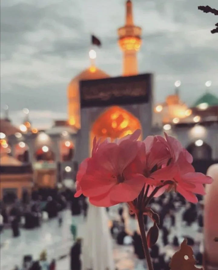 عکس پروفایل ولادت امام رضا