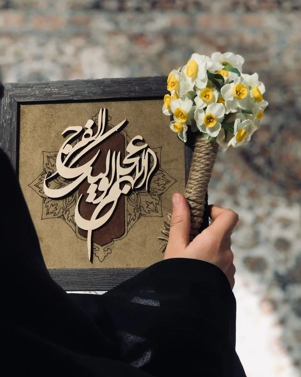 عکس چادر و حرم امام رضا 