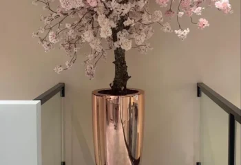 عکس گلدان بزرگ