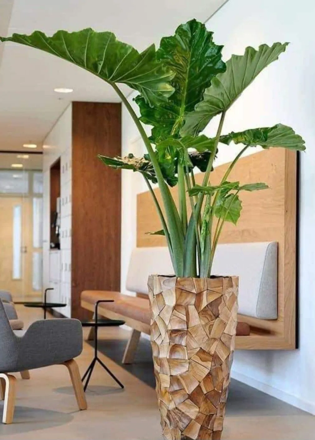 گلدان شیک برای گل طبیعی