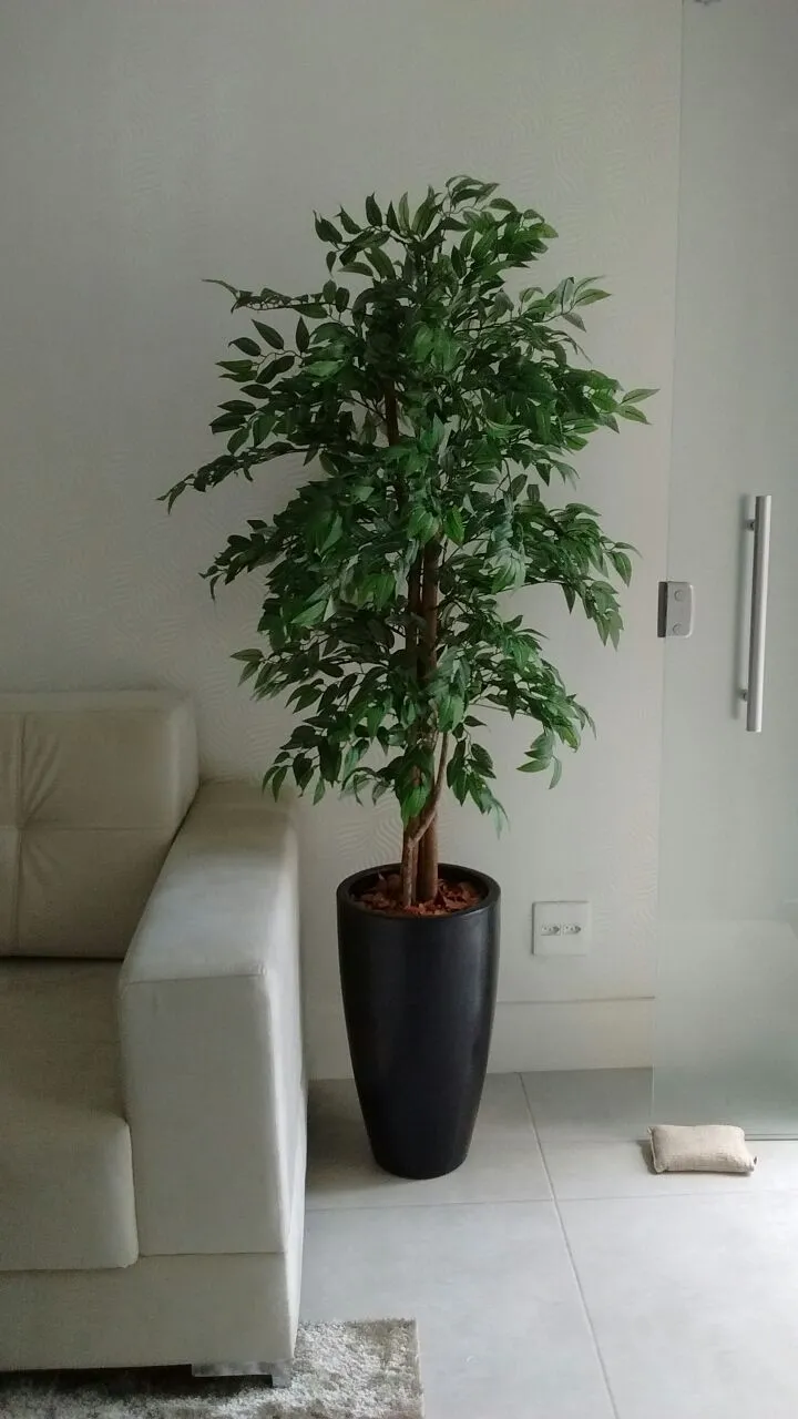 گلدان شیک برای گل طبیعی