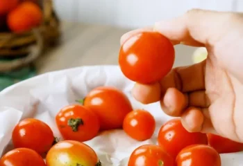 نگهداری گوجه در یخچال برای طولانی مدت