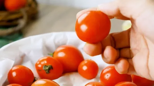 نگهداری گوجه در یخچال برای طولانی مدت