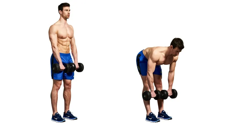 11. Stiff Legged Dumbbell Deadlift
