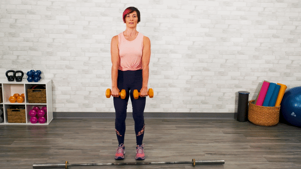 17. پارویی ایستاده دمبل (Dumbbell Upright Row)