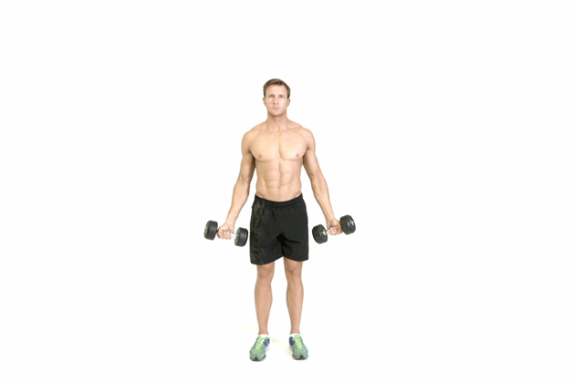 20. دامبل سکپشن (Dumbbell Scaption)