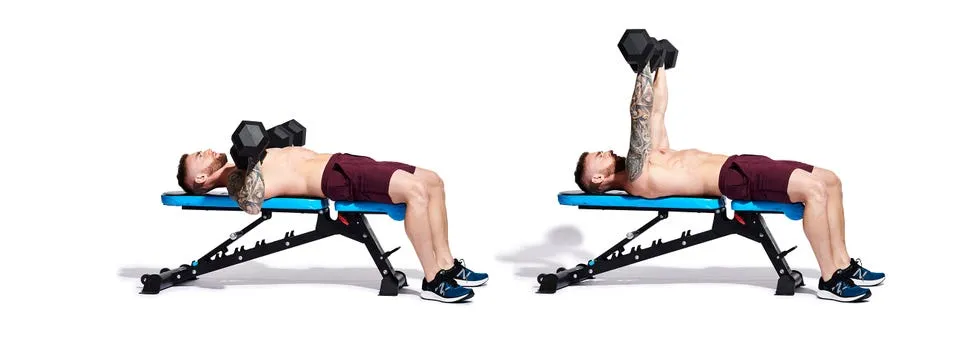 14. پرس سینه دمبل (Dumbbell Bench Press)