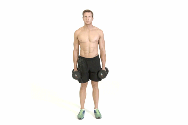 16. کراس بادی همر کرل (Cross Body Hammer Curl)
